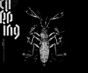Clipping. Dead Channel Sky