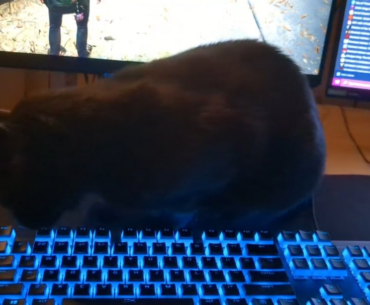 Help. My game keeps randomly pausing.