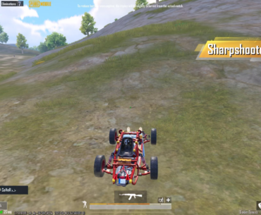 Some snipes