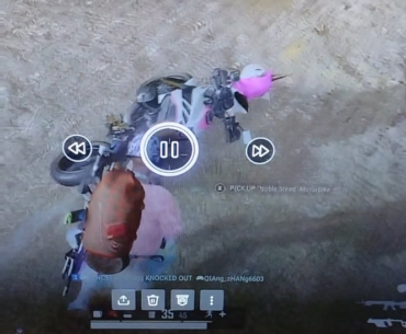 Runaway unicorn