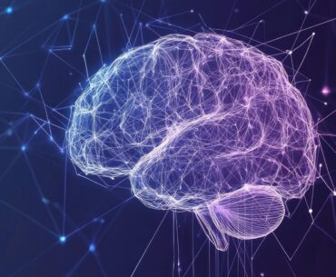 From r/science: Action video gamers have enhanced functional and structural connectivity in the dorsal visual stream