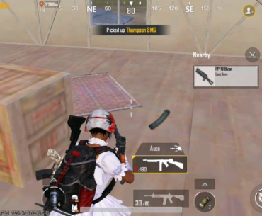 Gun Image Bug