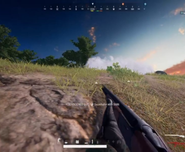Potato