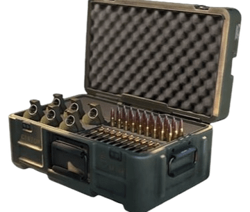 I think this would be a good op skill for br.