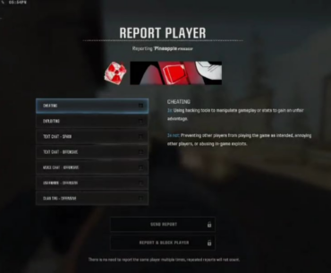 Ricoshit isn't real