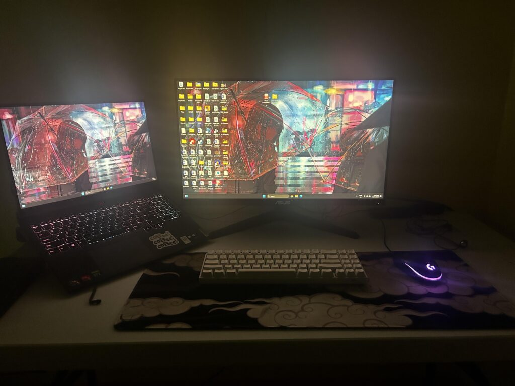 Finally bought a secondary monitor! Here’s my battle station