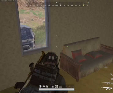 Gave these 2 a special treat
