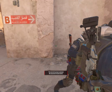 Have you ever seen a ninja like this before?