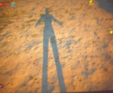 shadow bug