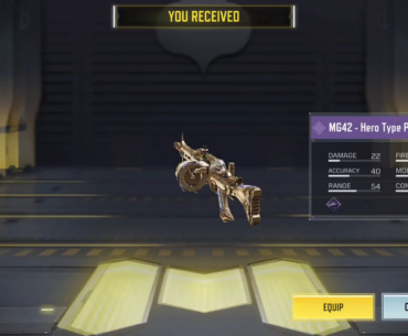 This MG42 skin is 🔥. It a legendary without kill effect