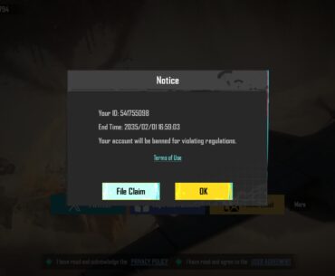 I've been playing the game for a total of 6 years now and i just got banned for no reason