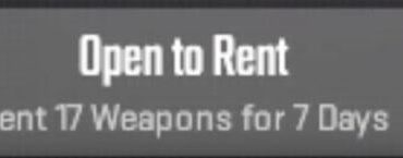 Since all cases are rentable, do you use the rent skins option?