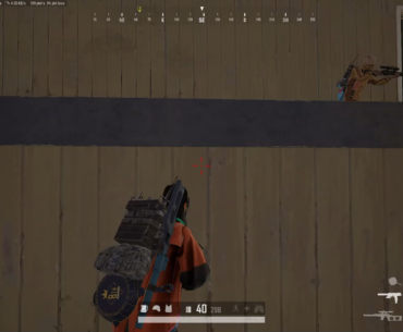 I stalked these guys for a good 20 mins