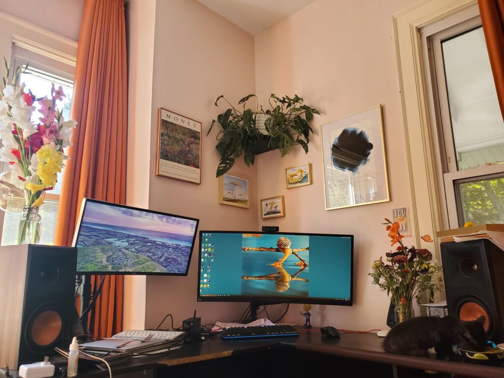 Just retired, decade-old 4790k/1080ti. Ian’t even remember all the GPUs its run Just retired, decade-old 4790k/1080ti. Ian't even remember all the GPUs its run