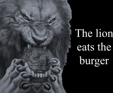 Inspired by the recent lion meme trend