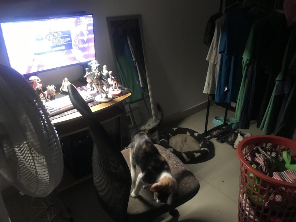 I have been living alone with my 2 cats for almost 6 years in a small apartment