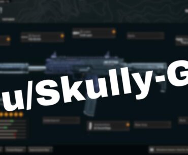 What do you think of my gun build?