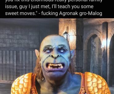Oblivion npc be like