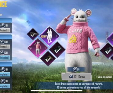 B84PBABQ   My happy rat code