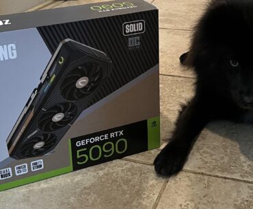 My dog is a gamer now