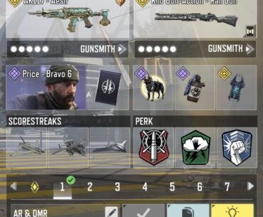 what kind of player do you think i am based on my main loadout?