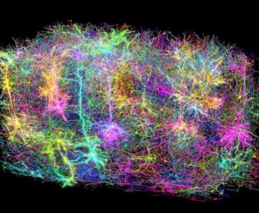 brain mapping for computer neural integration, here we come