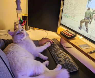 He randomly presses the space bar and makes me jump