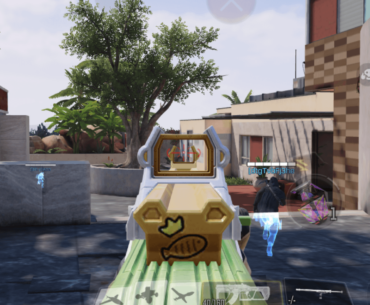 The Worst Iron Sight