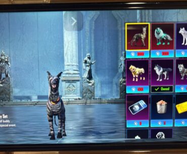 Hola buddy how to equip/find