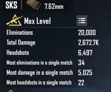 20K SKS KILLS