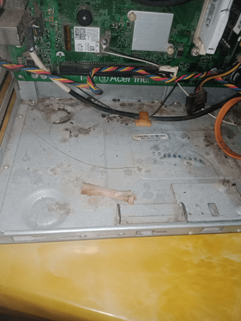 Im no PC expert but how tf is there a random ass bone inside my pc