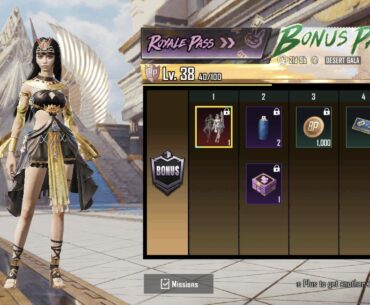 Which one should I choose?