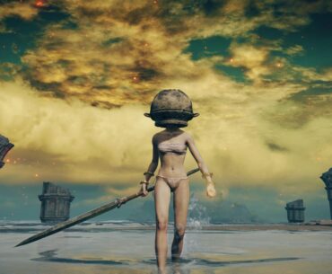 I’ve defeated the final boss of Elden ring 10,000 times as a summon! My characters name is LetMeSoloThem (let me solo her inspired me, but we are not the same person)