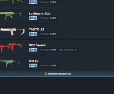 Ladies and gentlemen. The Least picked SMG of the entire game...