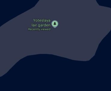 Someone made a garden on google maps for youtuber yoteslaya who passed away