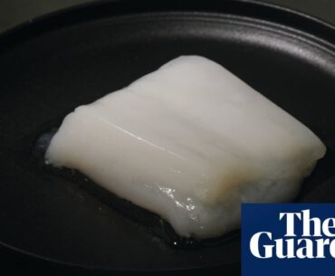 Lab-grown chicken ‘nuggets’ hailed as ‘transformative step’ for cultured meat | Cell-cultivated meat