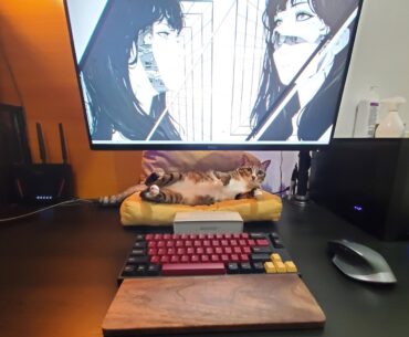 Get a monitor arm so your attention seeker will have a spot.