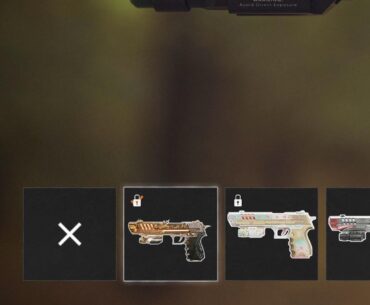 I somehow managed to equip the Immaculate skin for the Hand Cannon but I don’t own the bundle 🤔
