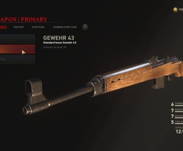 Why Can't I equip the Gewehr 43? I'm three levels above the requirement.