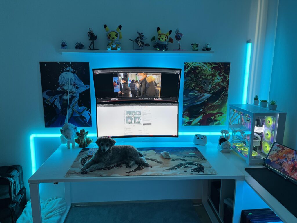 Asking for opinion