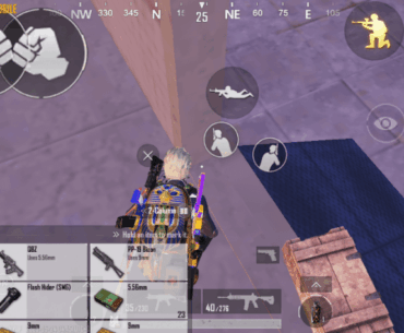 PP-19 Bizon in livik ?