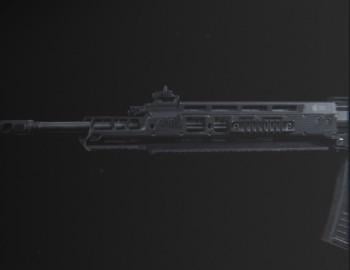 Real life Grau 556 WITH Tempus archangel barrel?