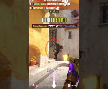 CHEATER DESTROYED #cs2 #counterstrike #csgo