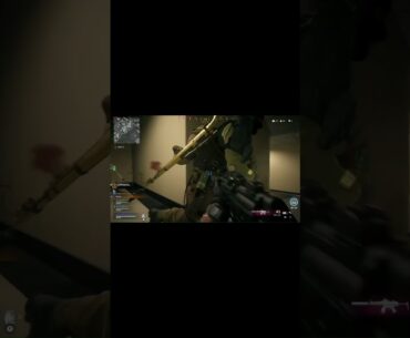 Remember old warzone. old teamwipe