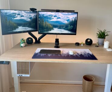My work from home station