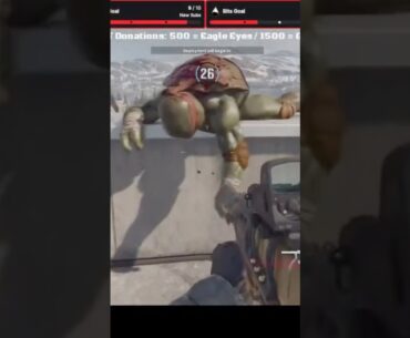 Turtle “naps” comfortably #firstpersonshooter #warzone #turtle #naps #callofduty #fun #comfortable