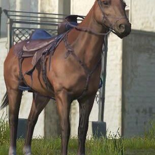 Where to find these 4legged mythical creature?