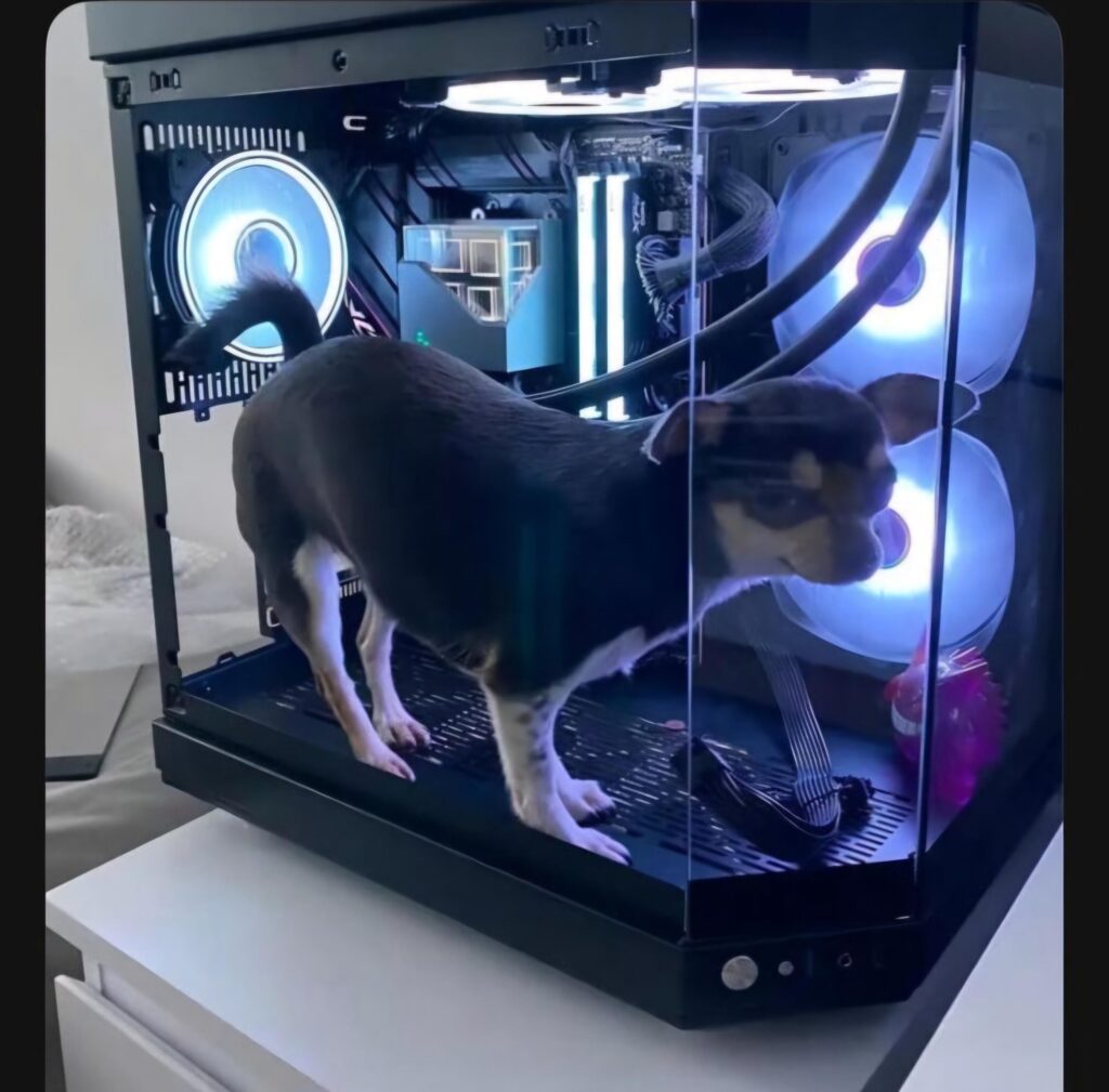 Not my picture. Thought it belonged here though.