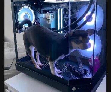 Not my picture. Thought it belonged here though.