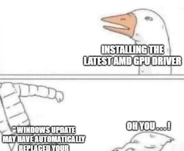 Thanks, Windows!